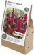 Lillesibulate segu Respect Nature Red Velvet 15 tk