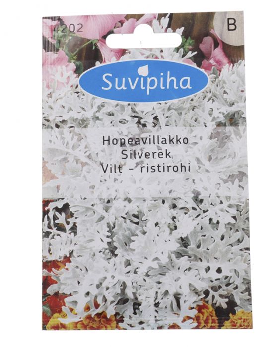 Vilt-ristirohi Suvipiha 0,25 g