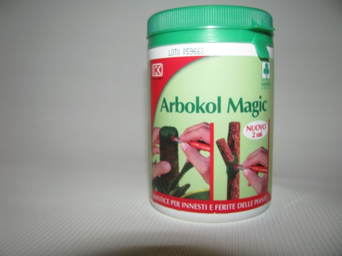 Haavamastiks viljapuule Arbokol Classic 250 g / SP