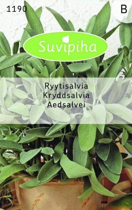 Aedsalvei Suvipiha