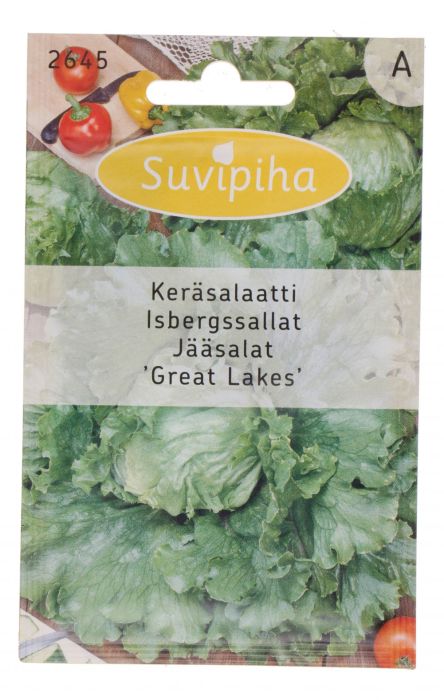 Jääsalat Great Lakes Suvipiha 1 g