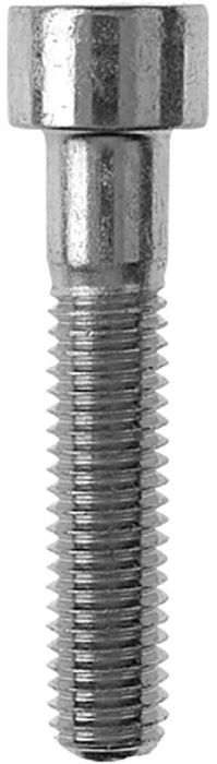 Sisekuuskantpoldid Profi Depot DIN912 ZN, 10 x 16 mm, 50 tk