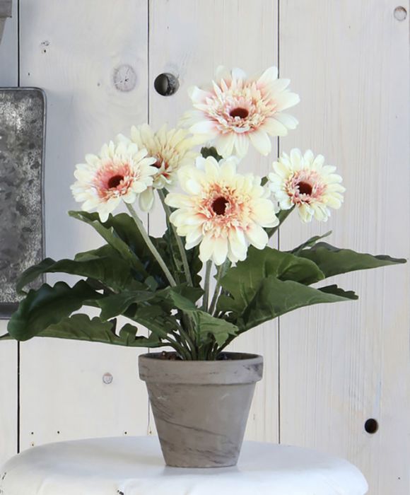 Kunstlill gerbera potis 35 cm, kreemikas