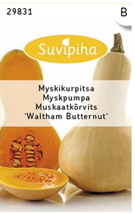 Muskaatkõrvits Waltham Butternut Suvipiha 2 g