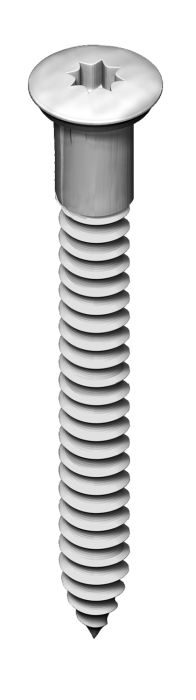 Nurgakruvi Ruspert TX20 5 x 50 mm