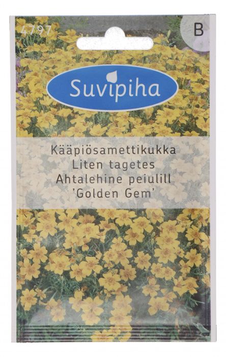 Peiulill ahtalehine Golden Gem Suvipiha 0,3g