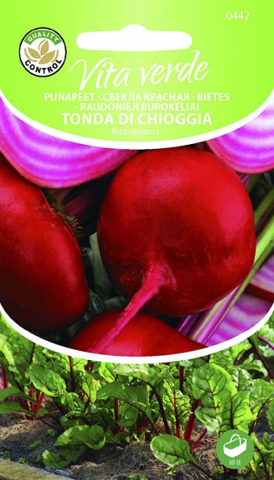 Punapeet Tonda Di Chioggia