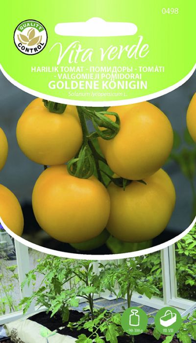 Tomat Goldene Königin