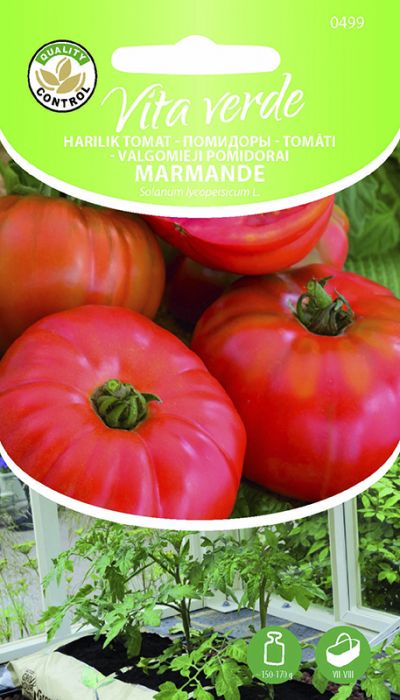 Tomat Marmande