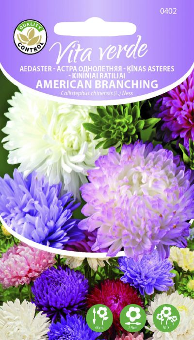 Aedaster American Branching