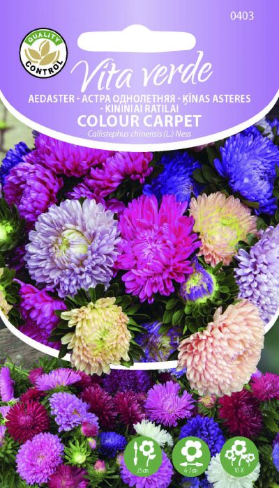 Aedaster Colour Carpet segu