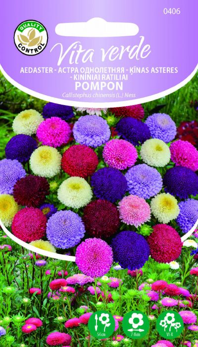 Aedaster Pompon segu