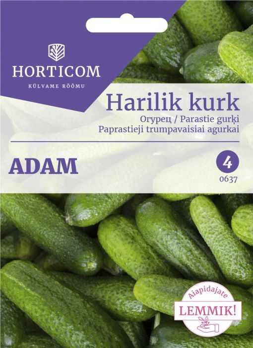 Harilik kurk Adam F1 15seemet