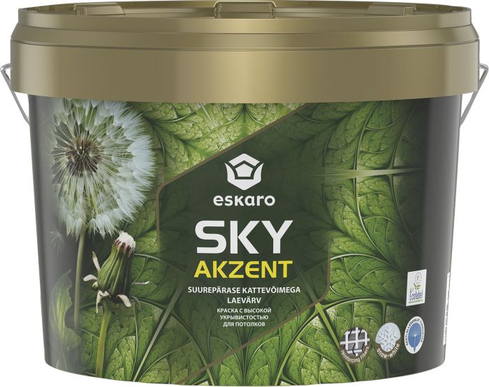 Laevärv Sky Akzent 9 l