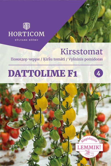 Kirsstomat Dattolime F1 Horticom 5 seemet