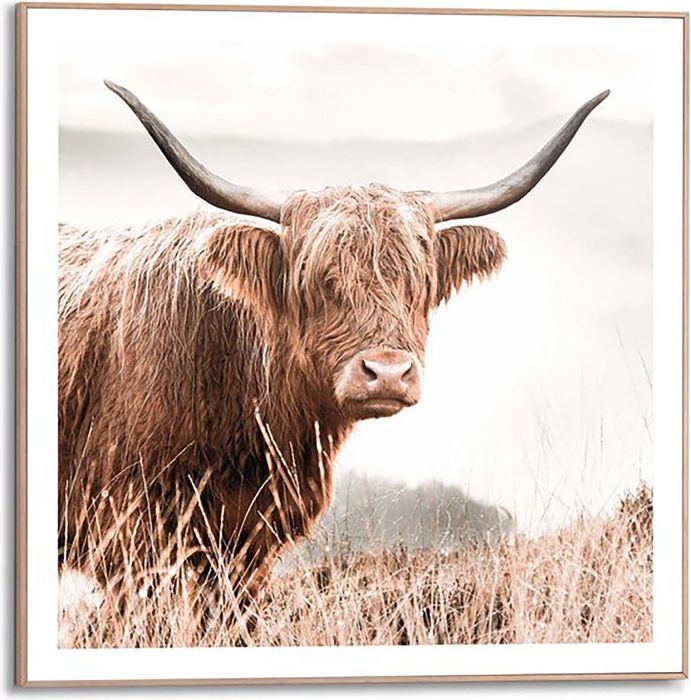 Sisustuspilt Reinders Nature Cow 50 x 50 cm