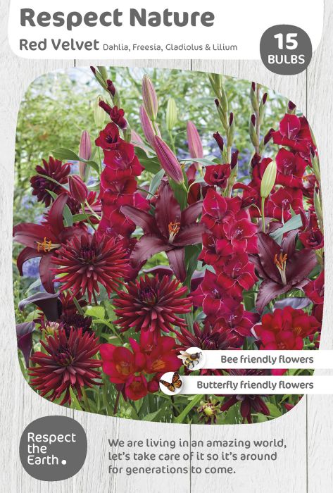 Lillesibulate segu Respect Nature Red Velvet 15 tk